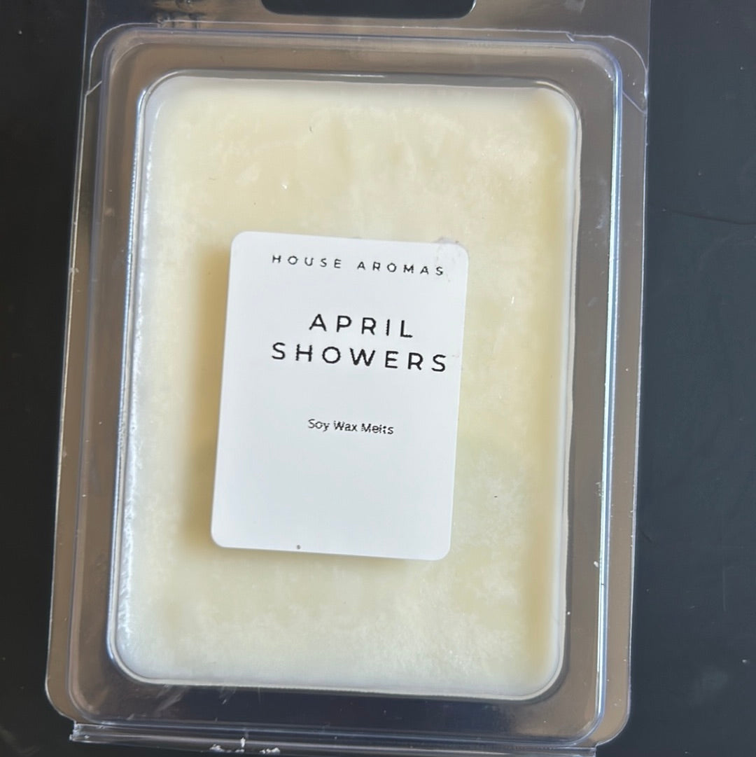 April Showers Wax Melt